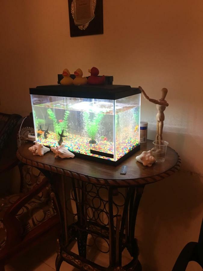 Hotel Dona Cornelia Los Patos Zewnętrze zdjęcie